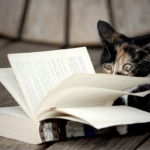 key-steps-to-create-blog-posts-people-want-to-read-1