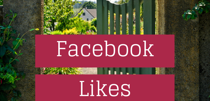Facebook Likes Are Not Leads