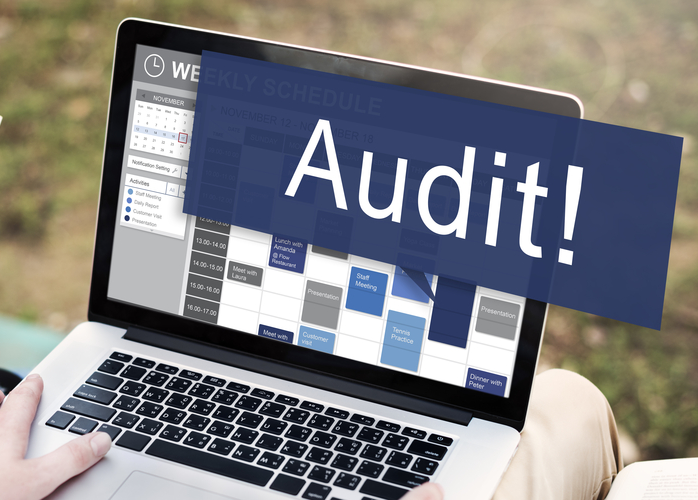 popularity in social media website auditor popularity in social media website auditor