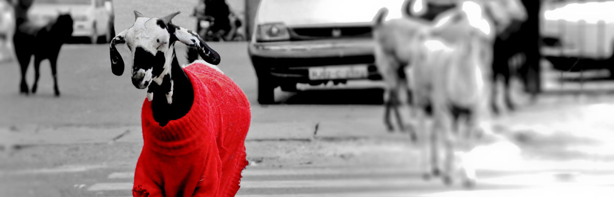 How to Know If Your Social Media Content is Relevant